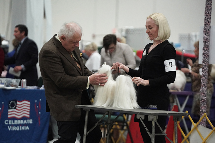 A man and woman standing at a table with two dogs.