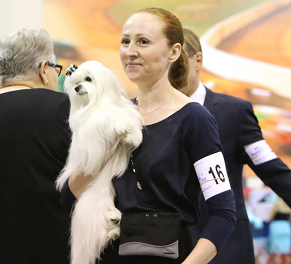 A woman holding a white dog with number 1 6 on it.